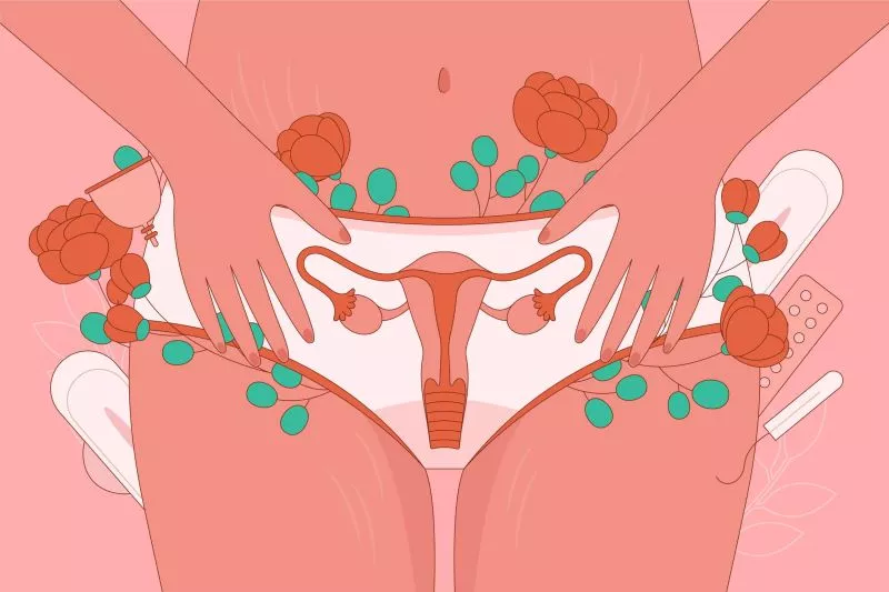 Mengenal Fungsi Organ Reproduksi Eksternal pada Wanita