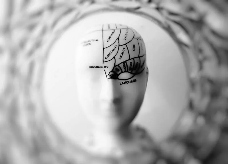 Otak Kanan vs Otak Kiri: Membongkar Mitos dan Faktanya