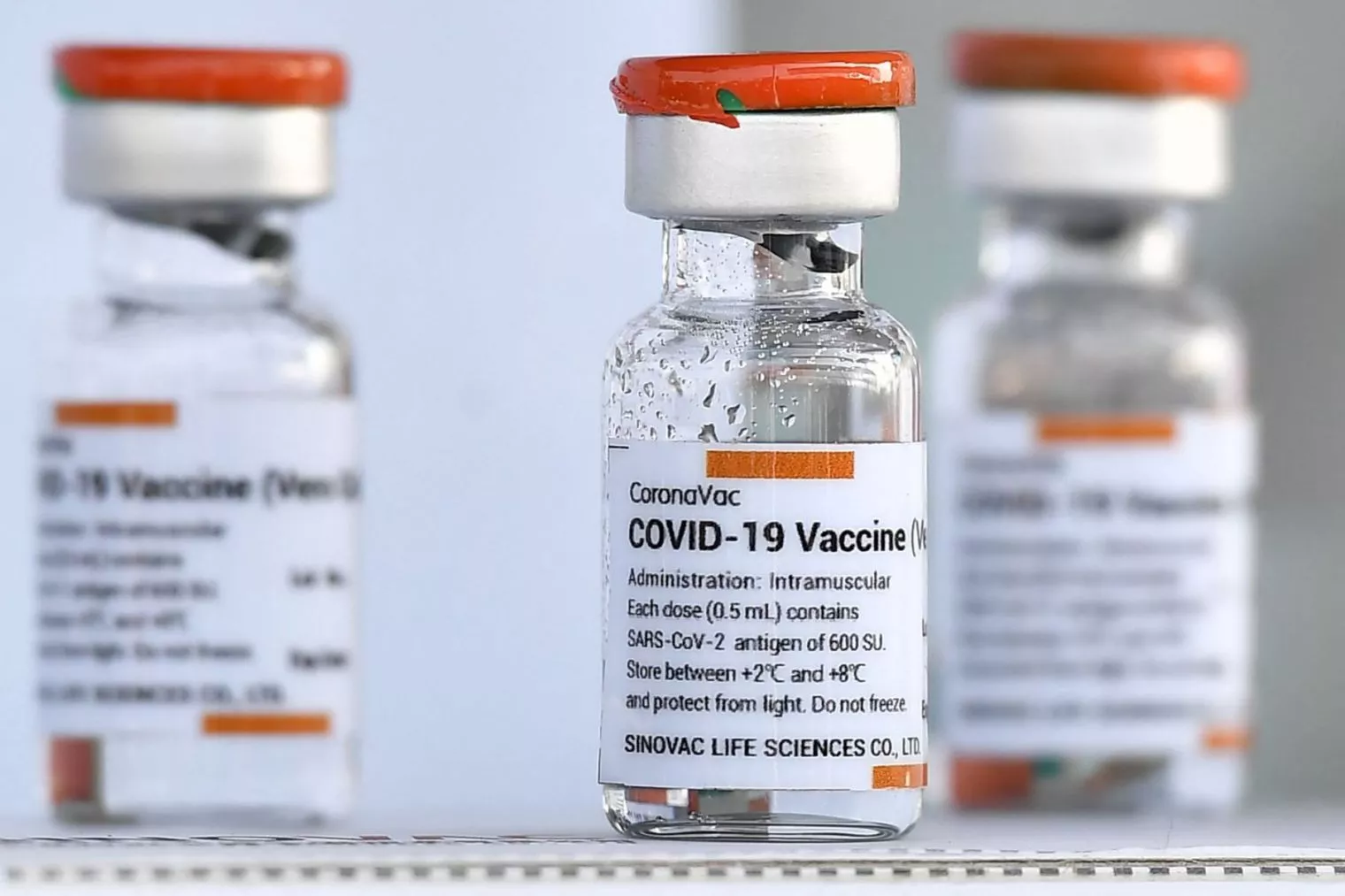 Vaksin Sinovac Menunjukkan Penurunan Efikasi, Ternyata AstraZeneca dan Pfizer Juga Sama
