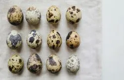 Telur Puyuh: Si Kecil-Kecil Cabe Rawit
