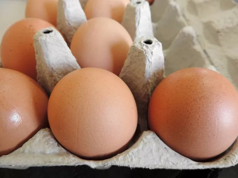 Benarkah Mengkonsumsi Telur Setiap Hari Dapat Membantu Menurunkan Berat Badan?