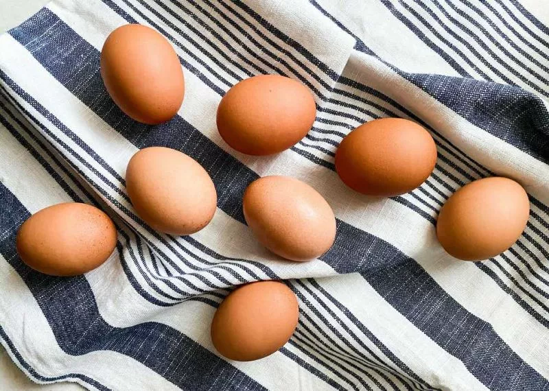 Mengapa Telur Ayam Tinggi Zat Gizi?